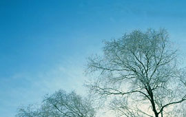 短信轰炸机在线网页版