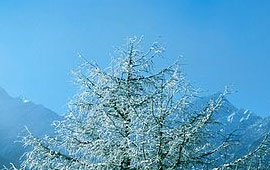 不间断呼叫软件