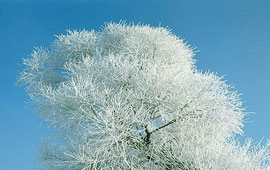 无限拨打电话软件